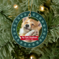 Grönt Anpassningsbarna Första julparet Puppy Photo