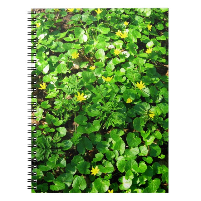 grönt anteckningsbok (Framsidan)