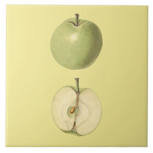 Grönt Äpple Botaniskt fält ~ Kitchen ~ Valfri Färg Kakelplatta