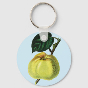 grönt äpple på en botanisk illustration av frukt i nyckelring
