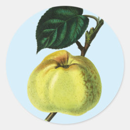 grönt äpple på en botanisk illustration av frukt i runt klistermärke