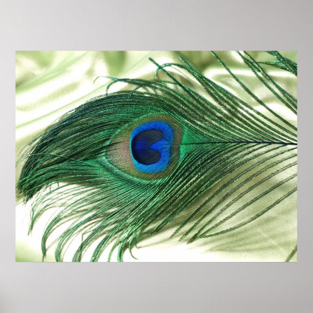 Grönt Apple Peacock Sill Life Poster (Framsidan)