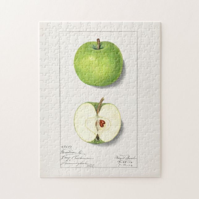 Grönt Apples (Malus Domestica) - Färgning av frukt Pussel (Vertikal)