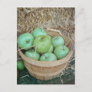 Grönt Apples Vykort