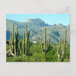 "Grönt Arizona" Vykort