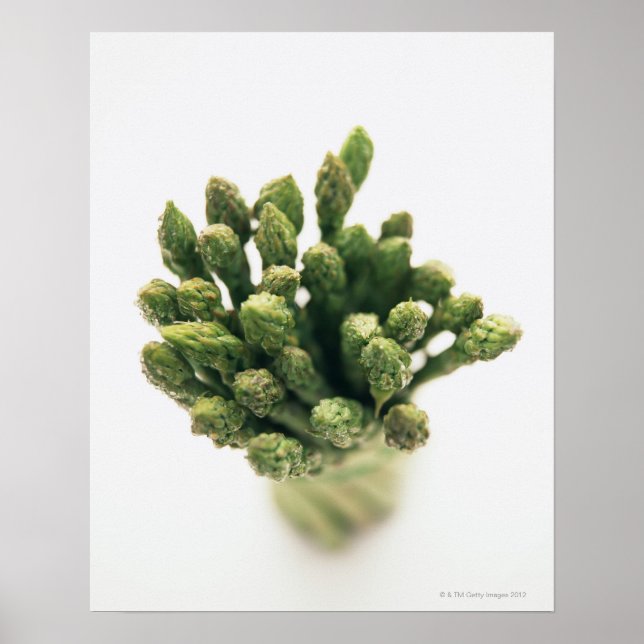Grönt Asparagus Poster (Framsidan)