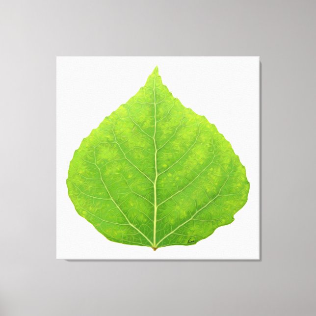 Grönt Aspen Löv #11 Canvastryck (Framsida)