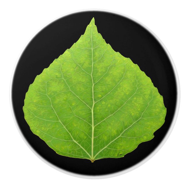 Grönt Aspen Löv #11 Knopp (Framsidan)
