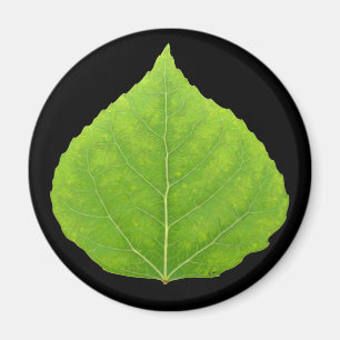 Grönt Aspen Löv #11 Magnet