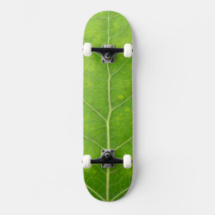 Grönt Aspen Löv #11 Mini Skateboard Bräda 18,5 Cm
