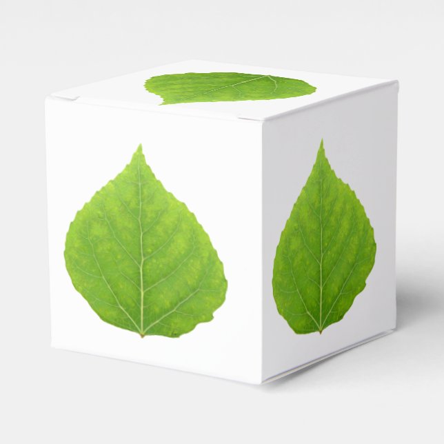 Grönt Aspen Löv #11 Presentaskar (Framsidan Sidan)