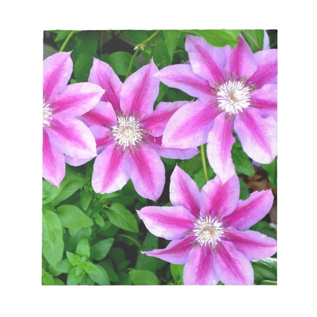 grönt av botanisk rosa blommigt elegant av botanis anteckningsblock (Framsida)