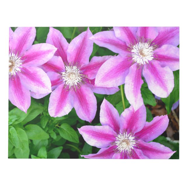grönt av botanisk rosa blommigt elegant av botanis anteckningsblock (Framsida)