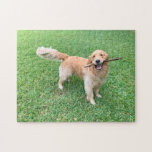 Grönt av Cute Golden Retriever-Hund Fotografi Pussel<br><div class="desc">Denna beundransvärda guldkyrkoherde som spelar fetch i den vackra gröntens gräs på sommaren får dig att le. En söt hund puzzle-gåva.</div>