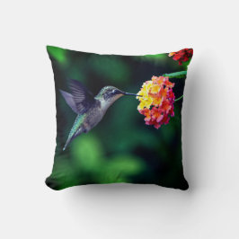 Grönt av hummerfågelhaltig nektar Bakgrund Kudde