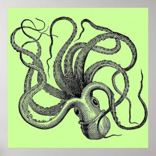 Grönt av Octopus Poster