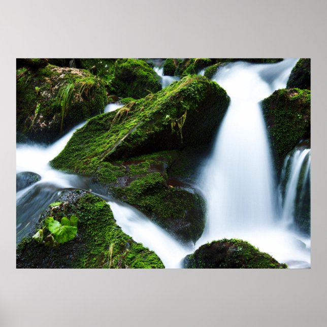 Grönt av vattenfall poster (Framsidan)