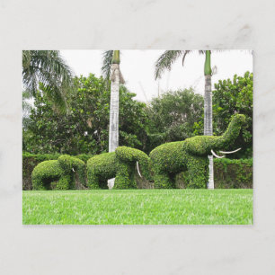 Grönt av vykort Elephants Garden Sculptures
