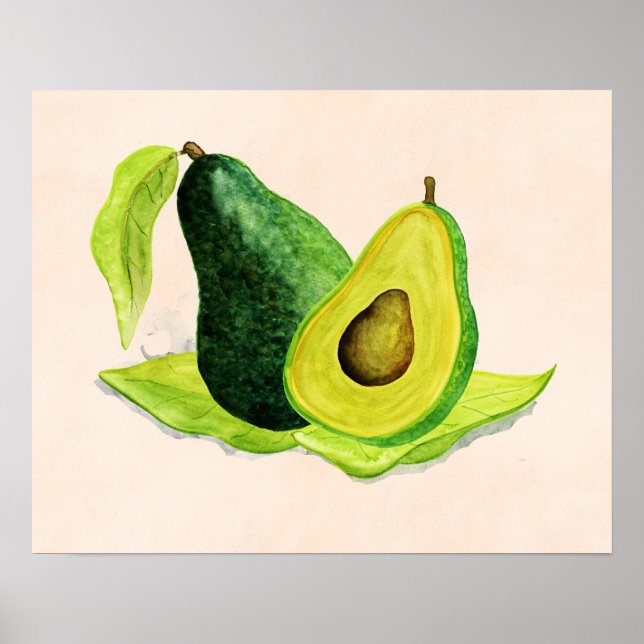 Grönt Avocado still Life Frukt i vattenfärger Poster (Framsidan)