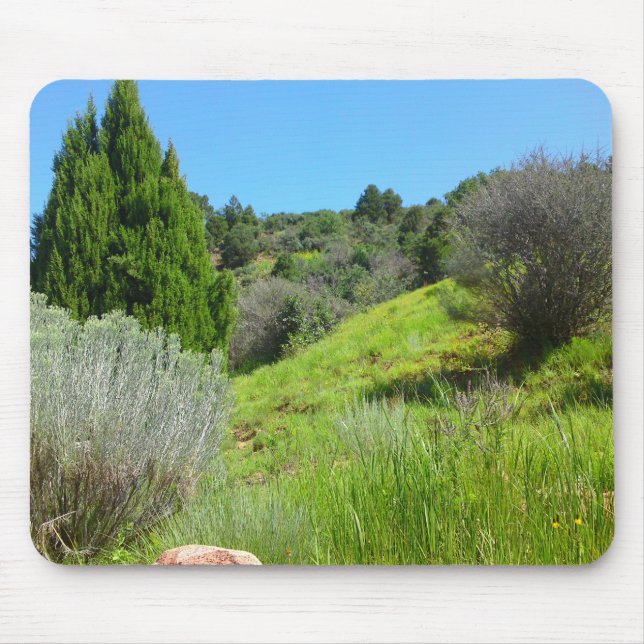 Grönt Backe musmatta (Framsidan)