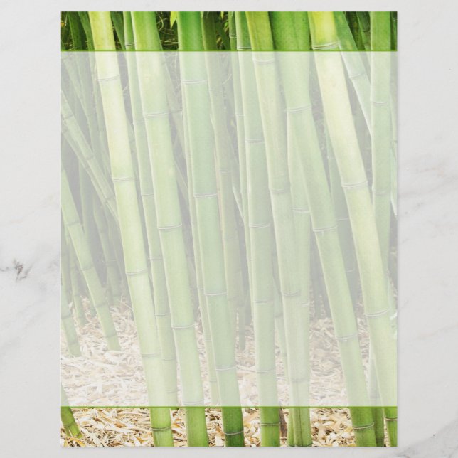 Grönt Bamboo (Framsida)