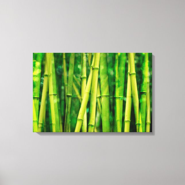 Grönt Bamboo Canvastryck (Framsida)