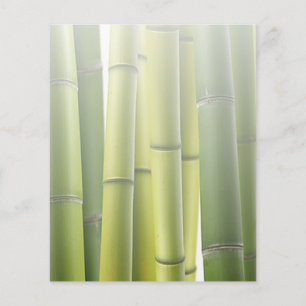 Grönt Bamboo Grove Spa Skin Care Massage Salon Flygblad