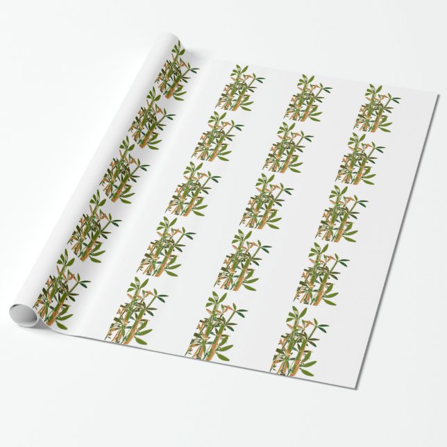 Grönt bamboo isolerat på vit bakgrund presentpapper (Utrullad)
