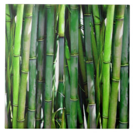 Grönt Bamboo Stalks Nature Photography Kakelplatta