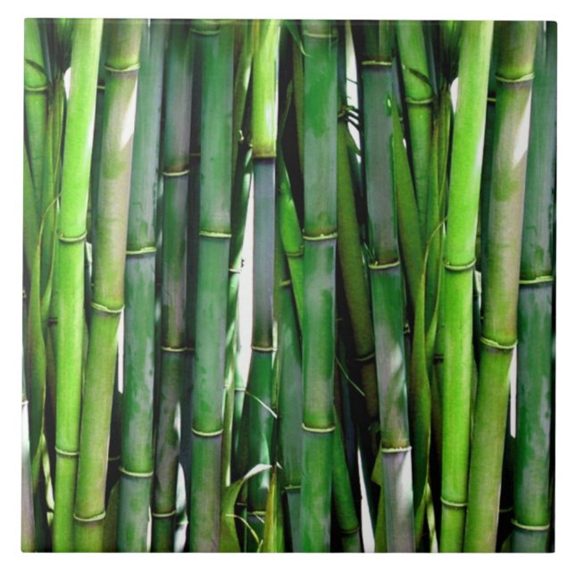 Grönt Bamboo Stalks Nature Photography Kakelplatta (Framsidan)
