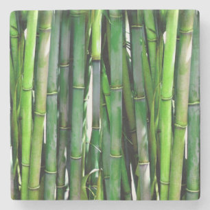Grönt Bamboo Stalks Nature Photography Stenunderlägg