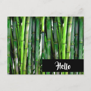 Grönt Bamboo Stalks naturfotografi - Hej Vykort