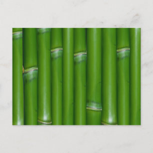 Grönt Bamboo Vykort