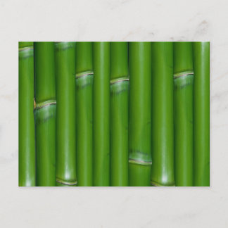 Grönt Bamboo Vykort