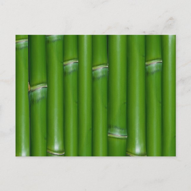 Grönt Bamboo Vykort (Framsida)