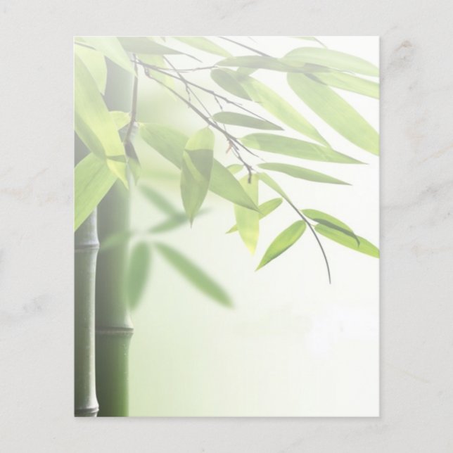 Grönt Bamboos/Spa Skin Care Massage Salon Flygblad (Framsidan)