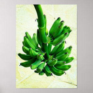 Grönt Bananas Poster