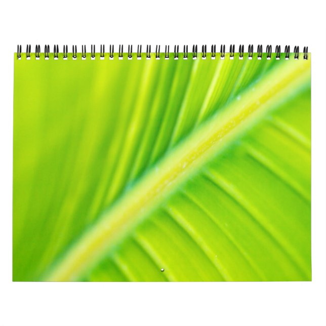 grönt bananblad kalender (Omslag)
