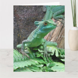 Grönt Basilisk Kort