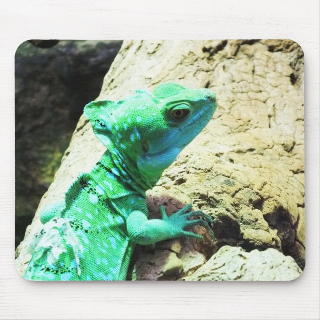 Grönt basilisk ödla musmatta (Framsidan)