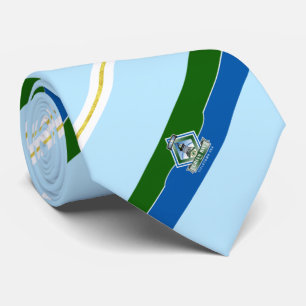 Grönt Bay (Wisconsin) City flagga Neck Tie Slips