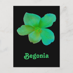Grönt Begonia Anpassade vykort