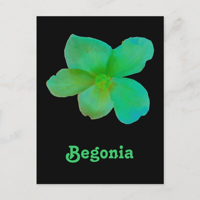 Grönt Begonia Anpassade vykort (Framsida)