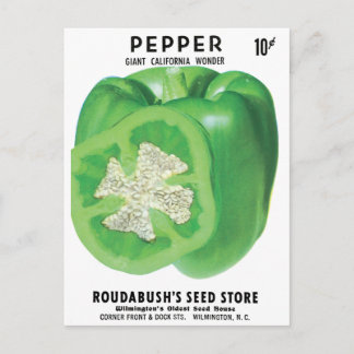 Grönt Bell Pepper Seed Packet Vykort