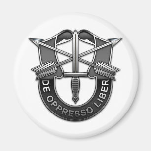 Grönt Berets DUI Magnet