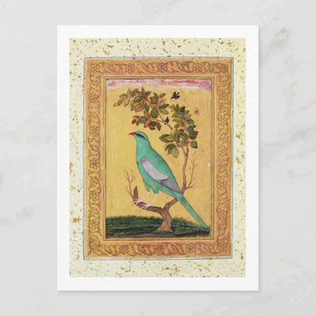 Grönt Bird, Mughal (gouache på pappra) Vykort (Framsida)