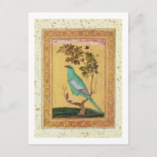 Grönt Bird, Mughal (gouache på pappra) Vykort