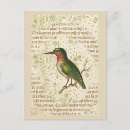 Grönt Bird på Gren Vykort