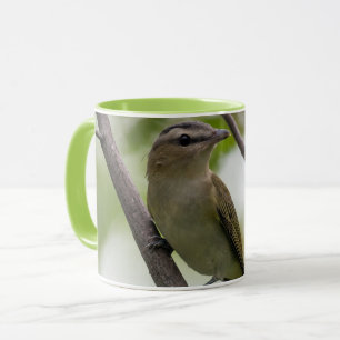 Grönt Bird, Red-Eyed Vireo, kanadensiska fotografi Mugg
