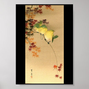 Grönt Birds on Maple Träd, Japansk Art c.1800s Poster